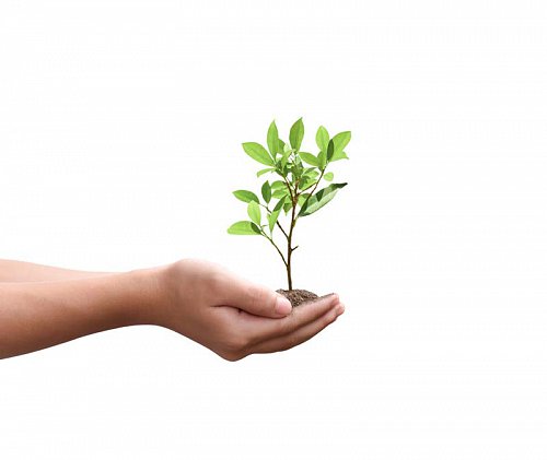 02-03.-AdobeStock_523842158.jpg
