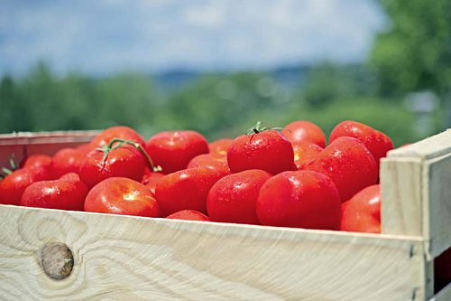02.-p2-BREF-label-rouge-creudit-Deup.47---Xavier-Chambelland.jpg
