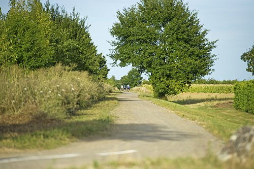 04---voie-verte_VSL-2.jpg