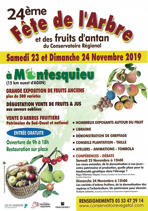 04-fete-de-larbre.jpg