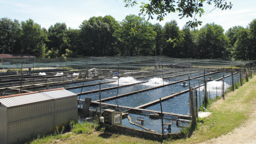 05---La_Ferme_du_Ciron_2018a.png