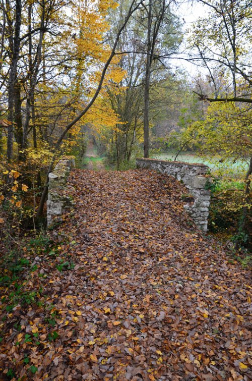 05-Lacaussade.jpg