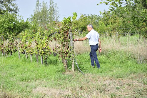 06-07---Domaine-agroecologique-de-barolle-dept-47---XC.jpg