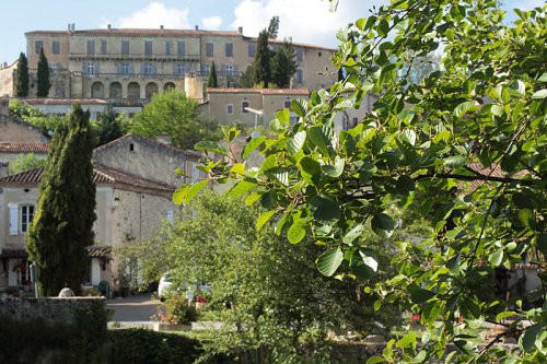 08--Chateau_de_Poudenas-Pierre_LONGO-895.jpg
