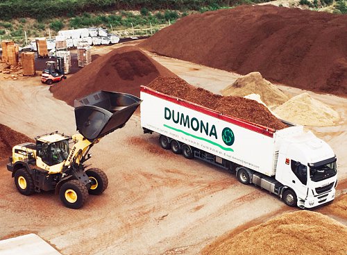 10-13--Dumona-01.jpg