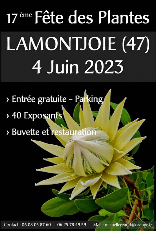11.-feete-des-plantes.jpg