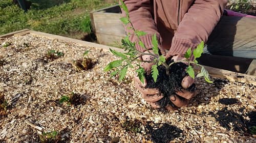 14-15---Utilisation-de-Biochar.jpg