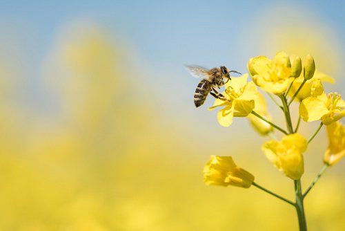 18-19---AdobeStock_153923879-800px.jpg