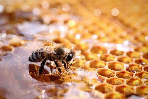 18-19---AdobeStock_464512300.jpg