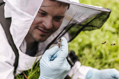 18-19--laureuat-du-concours-photo-apiculture-louis-Michel-Grevent-800px.jpg
