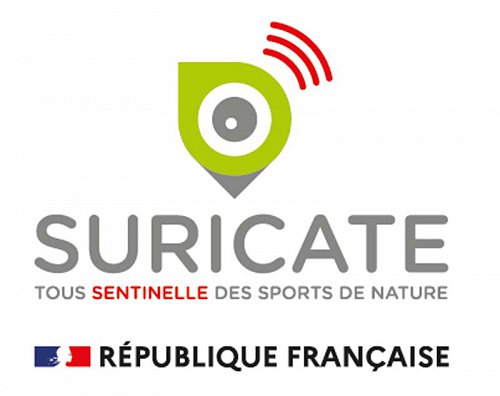 18-19.-Suricate.jpg