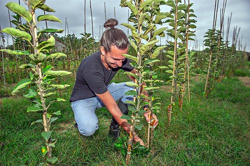 Agriculteur.JPG
