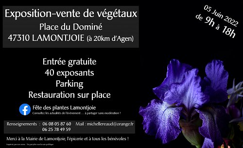 CABOUGE_Bouillon_fete-des-plantes.jpg