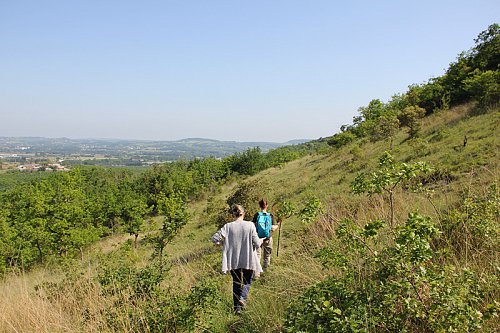 CASTELMERLE_VILLENEUVE_HAUTEFAGE-14.jpg