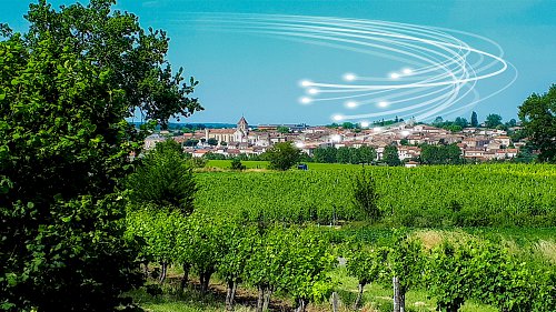 Vignoble_a_Mezin-fibre-Emag.jpg