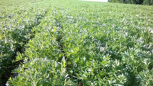WP_20170508_005.jpg