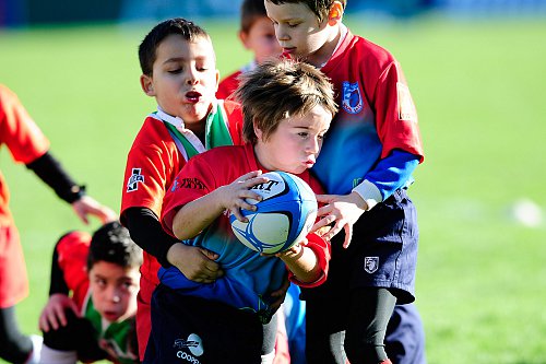 Sport