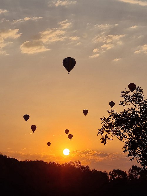 mongolfieres800px.jpg