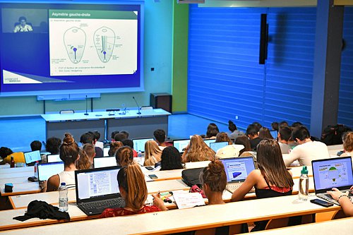 page-03---fac_pin_amphi_etudiants_PACES.jpg