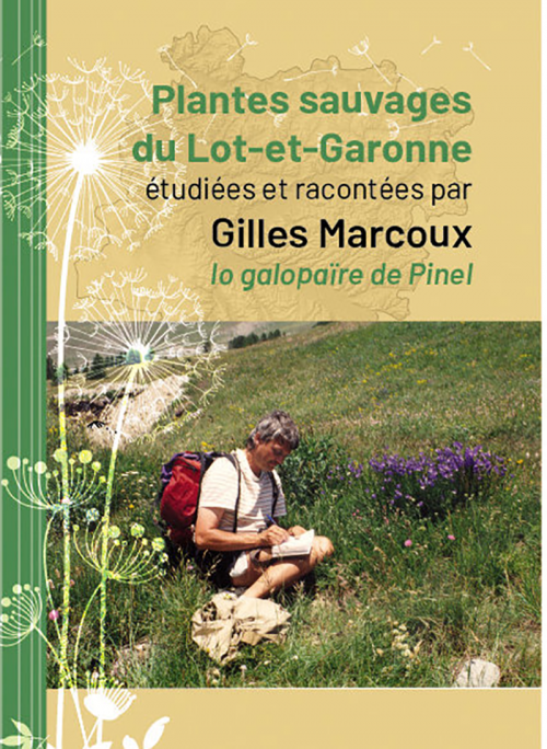 plante-sauvagee.png