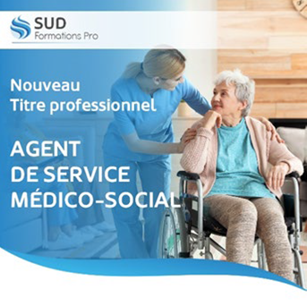 formation-sud-management.png